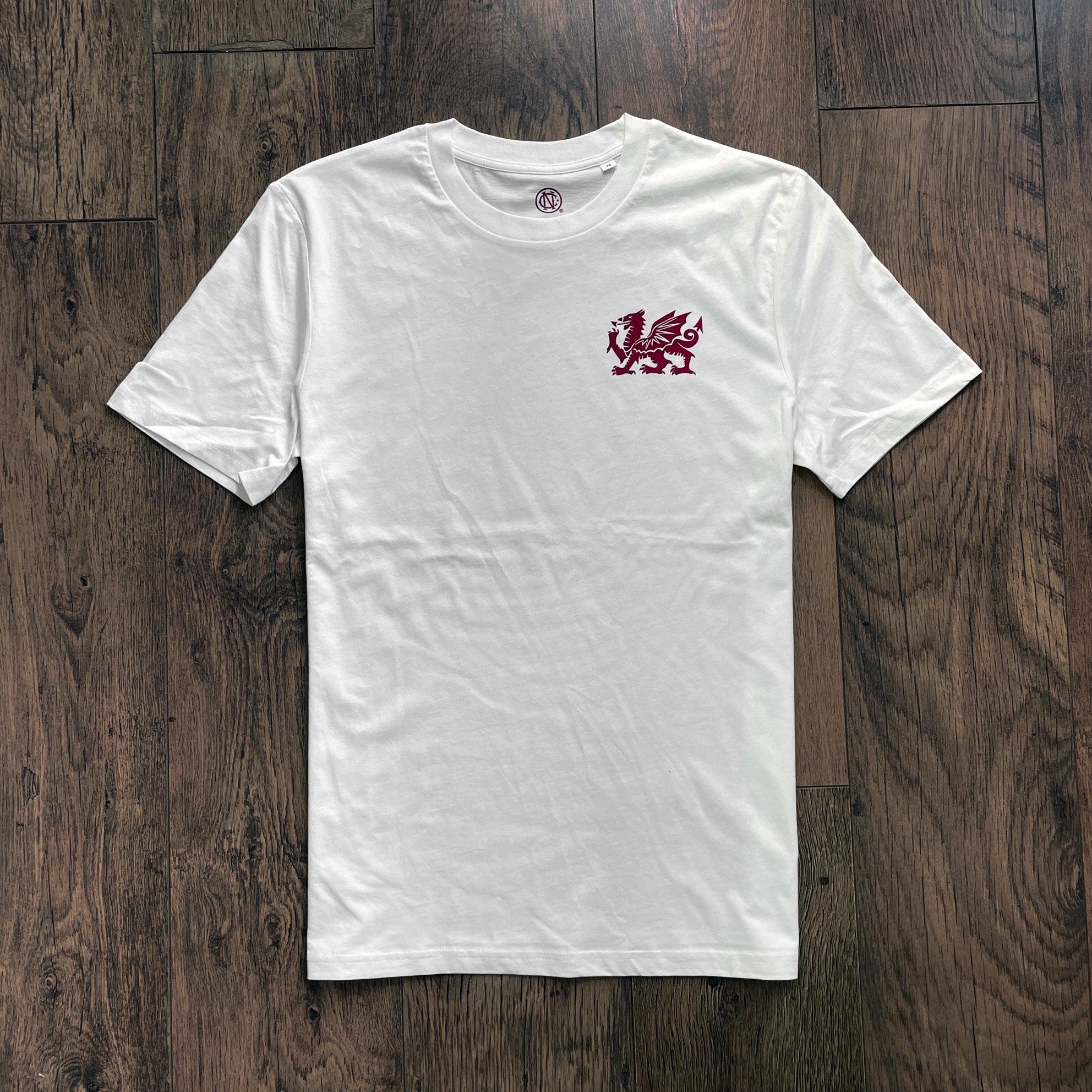 Wales mens fashion football t-shirt